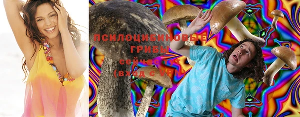 СК Аркадак